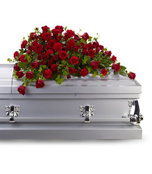 T225-3A Red Rose and Carnation Reverence Casket Spray 